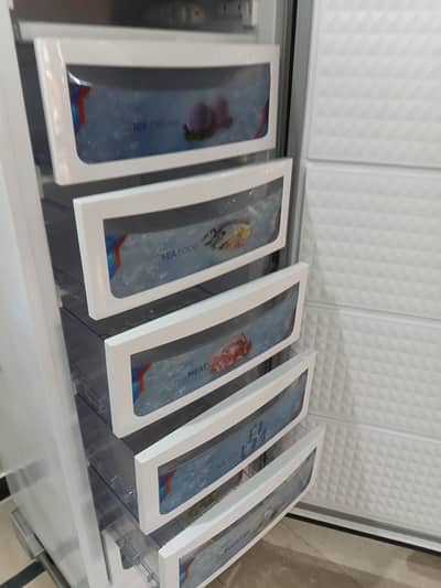 vertical freezer
