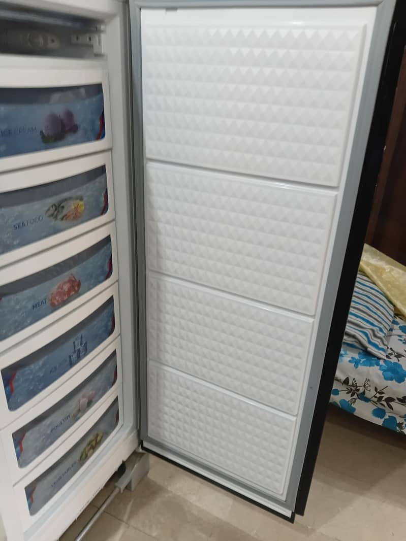 vertical freezer 1