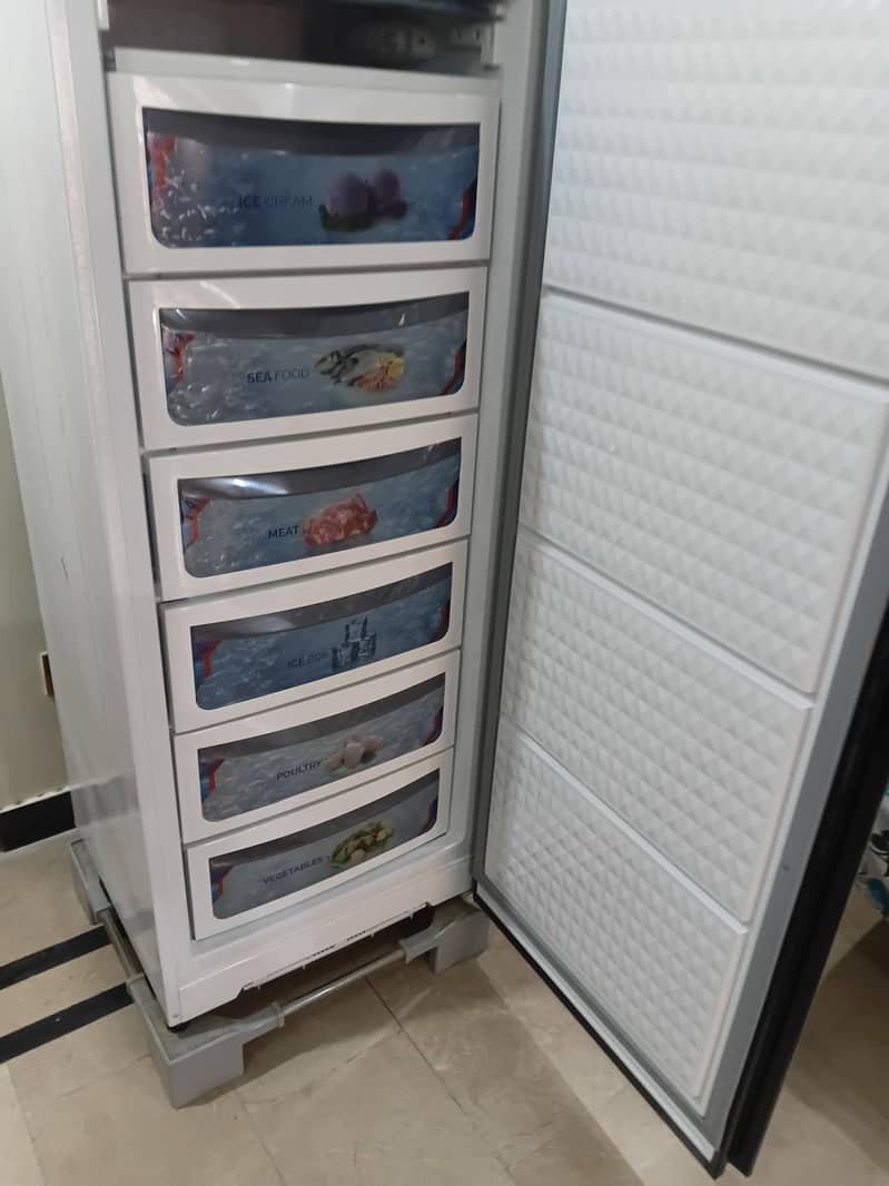 vertical freezer 2