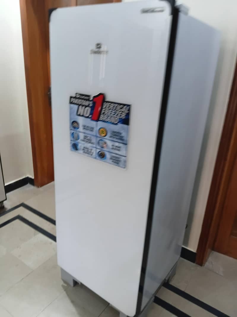vertical freezer 3