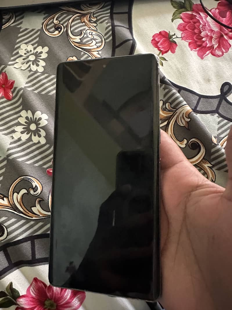 Google Pixel 7 Pro [Panel Issue] 2