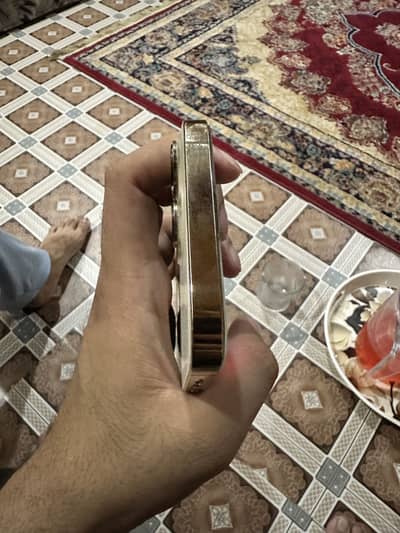 iPhone 13 pro Max jv