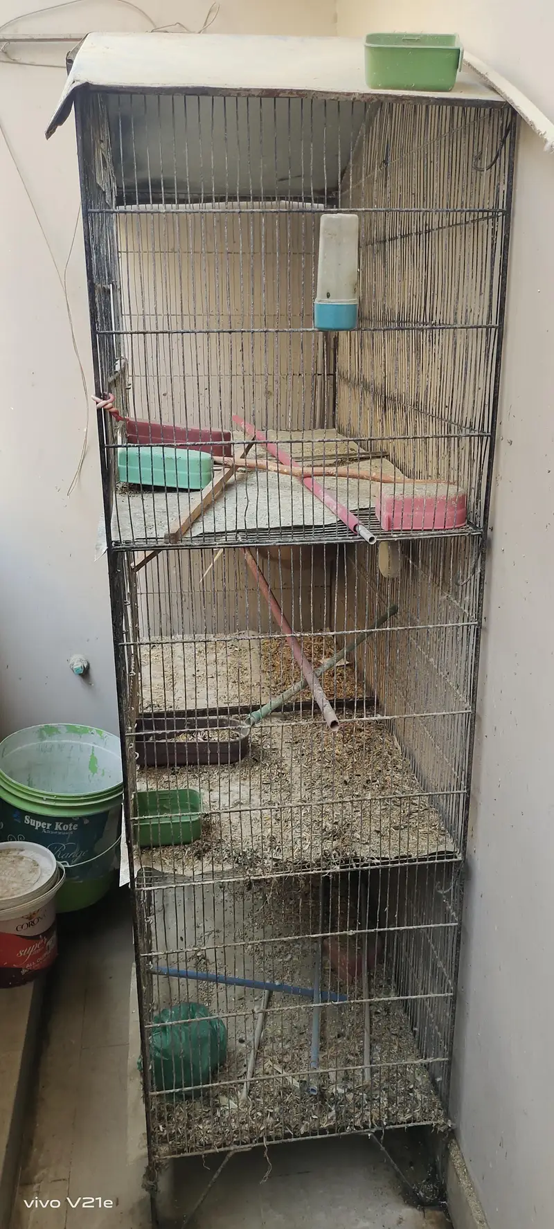 birds cage 3 portion — photo 6