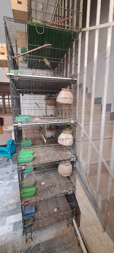 Master Cage Breeding Setup for Sale | Budgies, Lovebirds and small bi