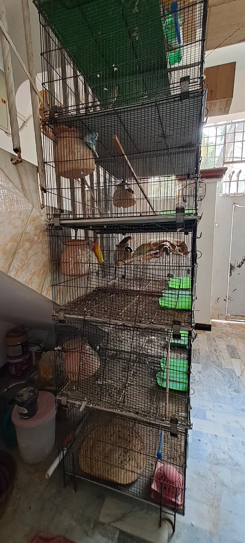 Master Cage Breeding Setup for Sale | Budgies, Lovebirds and small bi — photo 3