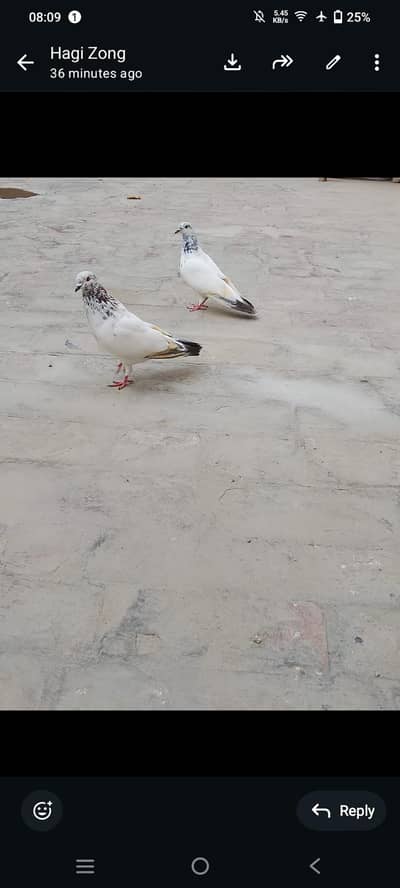 pair for sale