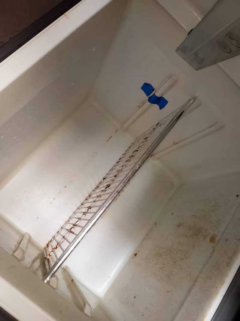medium size fridge 4