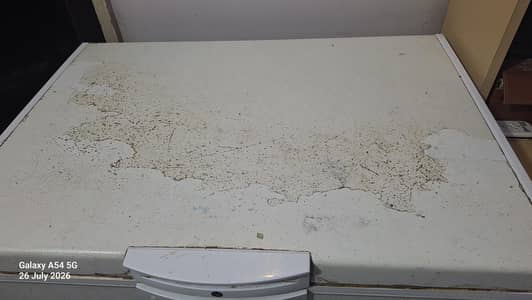 waves deep freezer