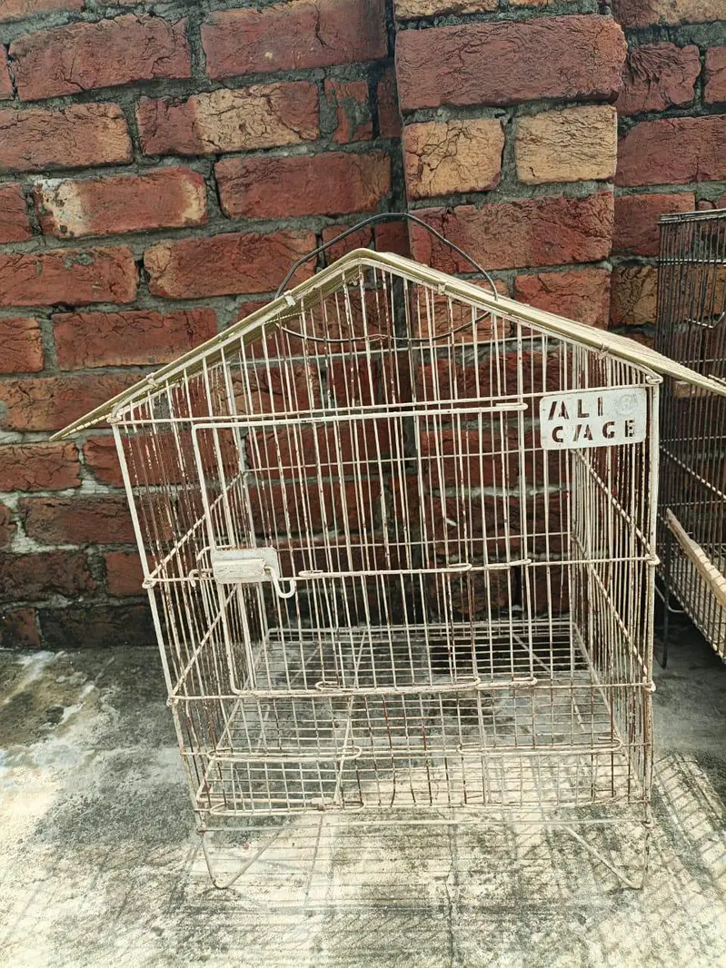 2 parrot cages 3 boxes — photo 2
