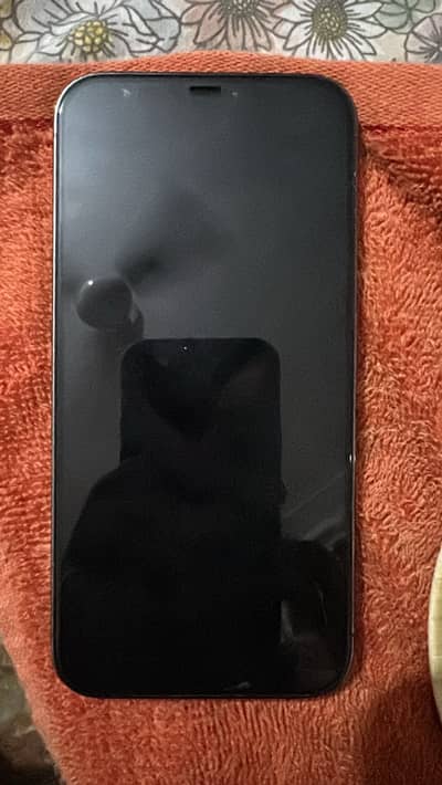 iPhone 12 Pro Max
