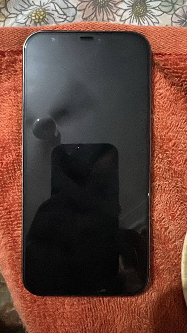 iPhone 12 Pro Max 0