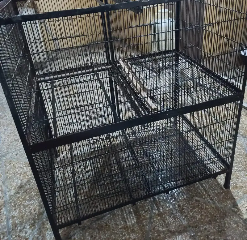 Birds cages new all OK hai 4 portions haii all OK haii — photo 2