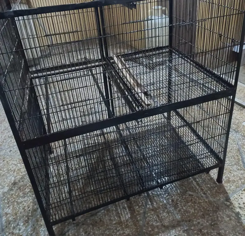 Birds cages new all OK hai 4 portions haii all OK haii — photo 3