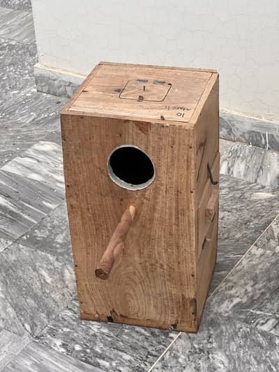 Raw birds cage