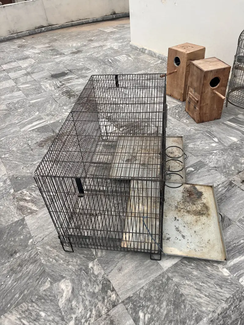 Raw birds cage — photo 2