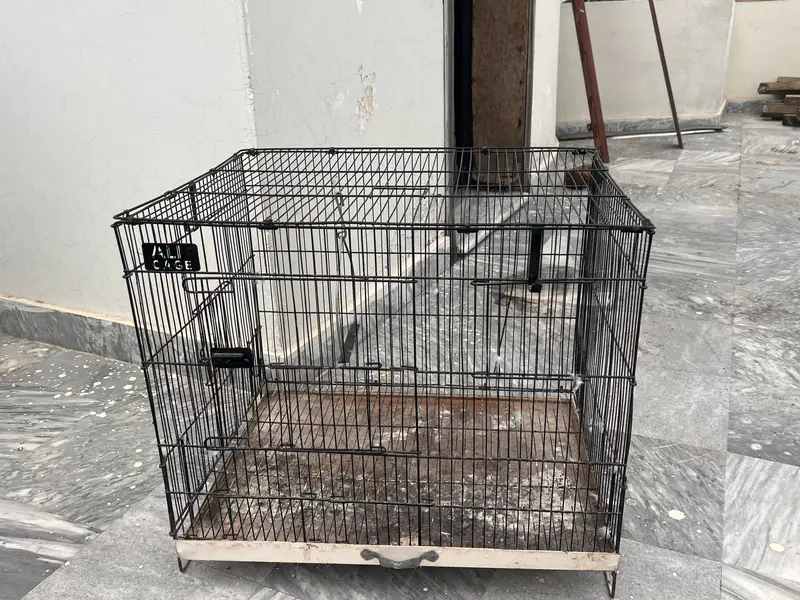 Raw birds cage — photo 3