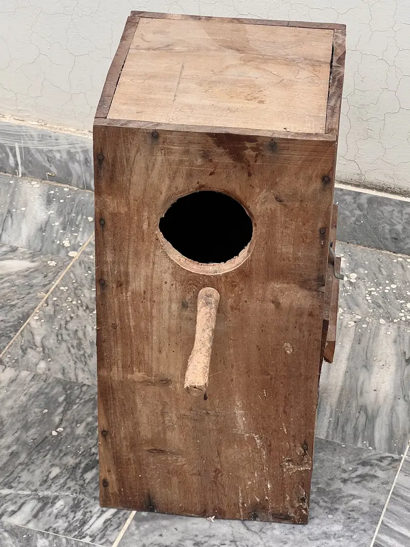 Raw birds cage — photo 5