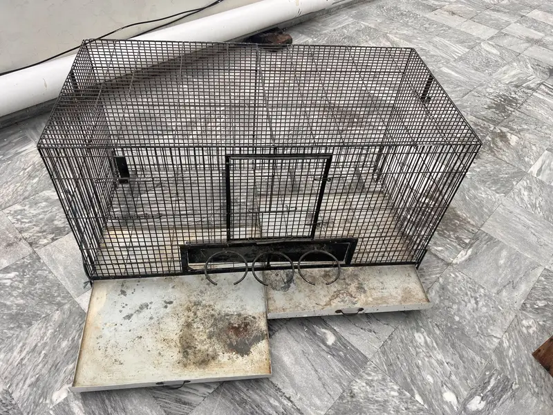 Raw birds cage — photo 6