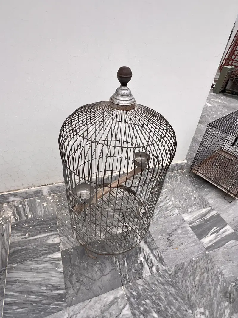 Raw birds cage — photo 7