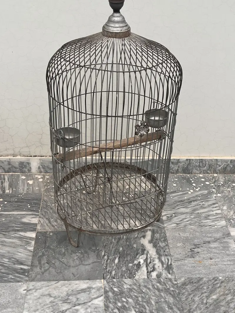 Raw birds cage — photo 8