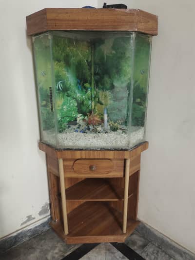 aquarium diamond shape