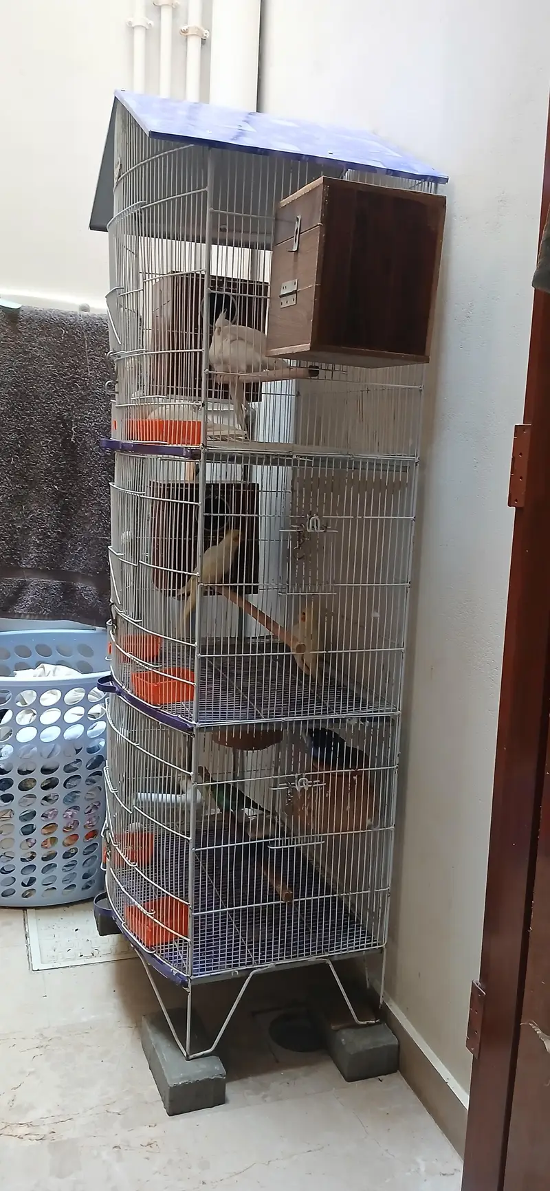 Cage for sale — photo 2