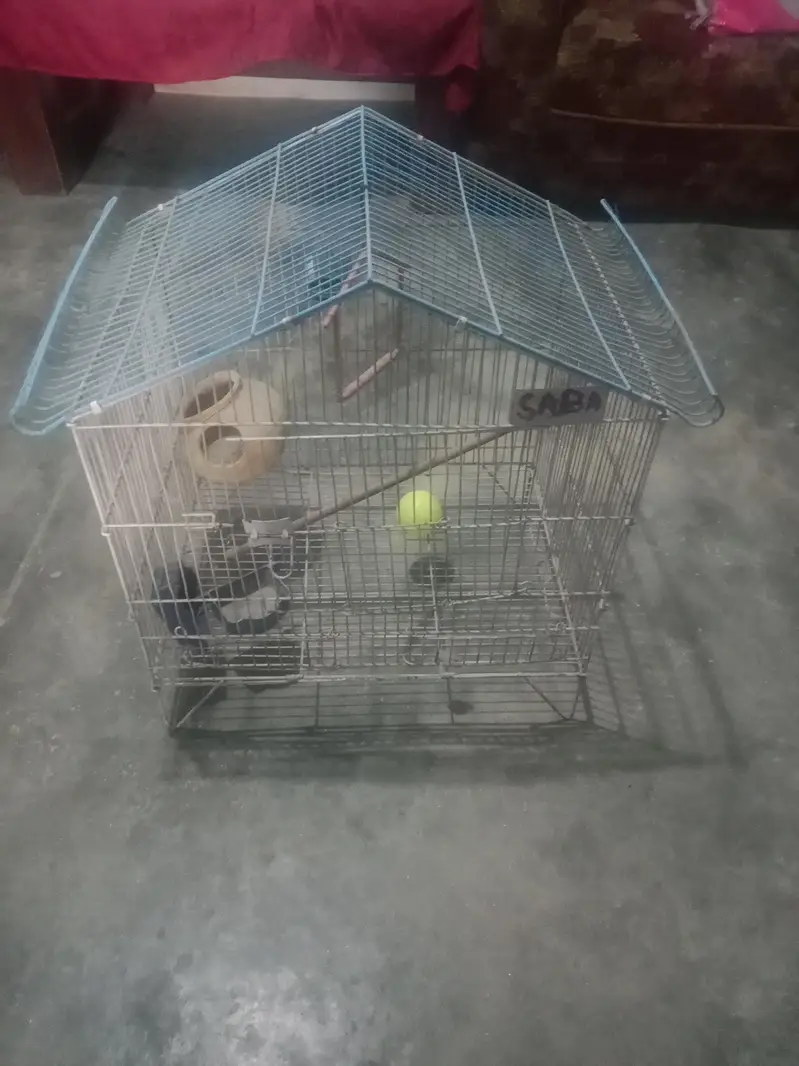 paret ka pangra — photo 2