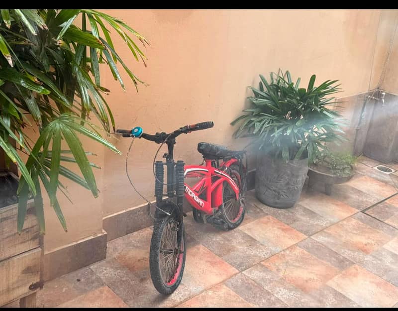 bicycle 0