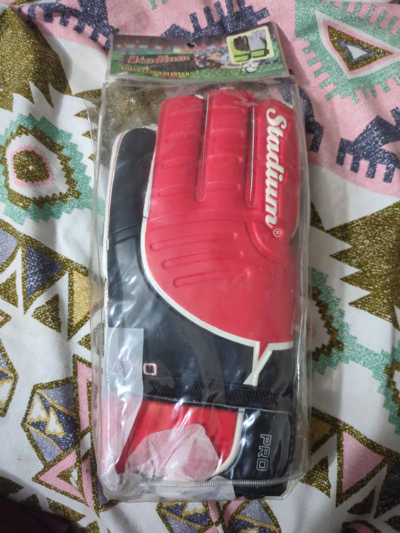 KEEPING GLOVES 1