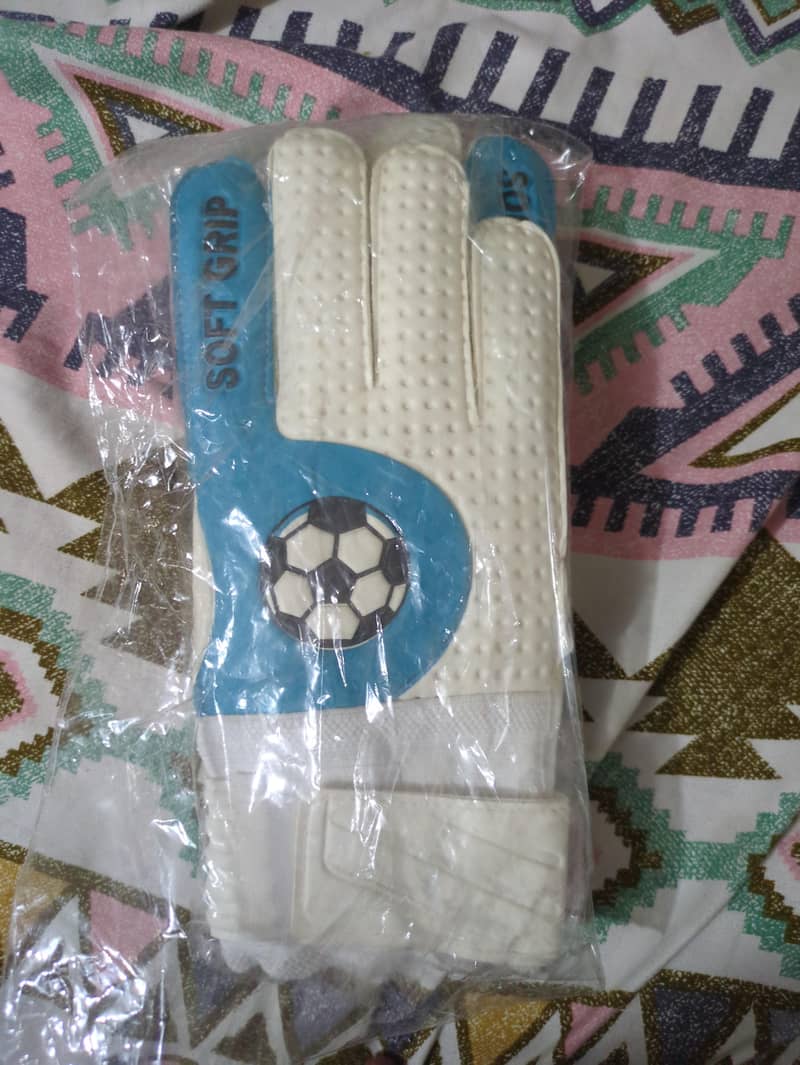 KEEPING GLOVES 2