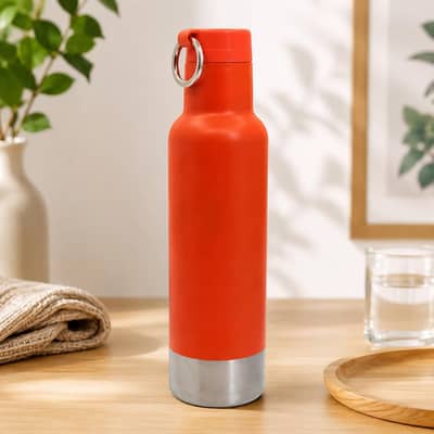 Double Wall Stainless Steel Vacuum Flask / Water Bottle (Brand New)