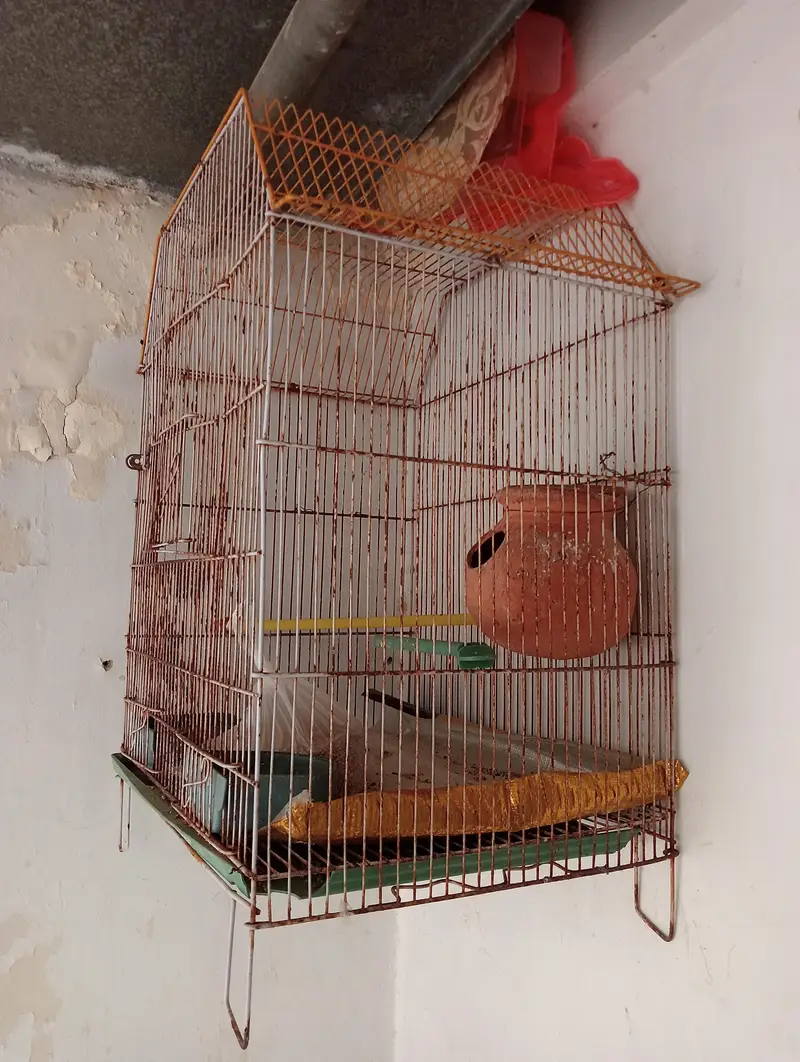 use cage