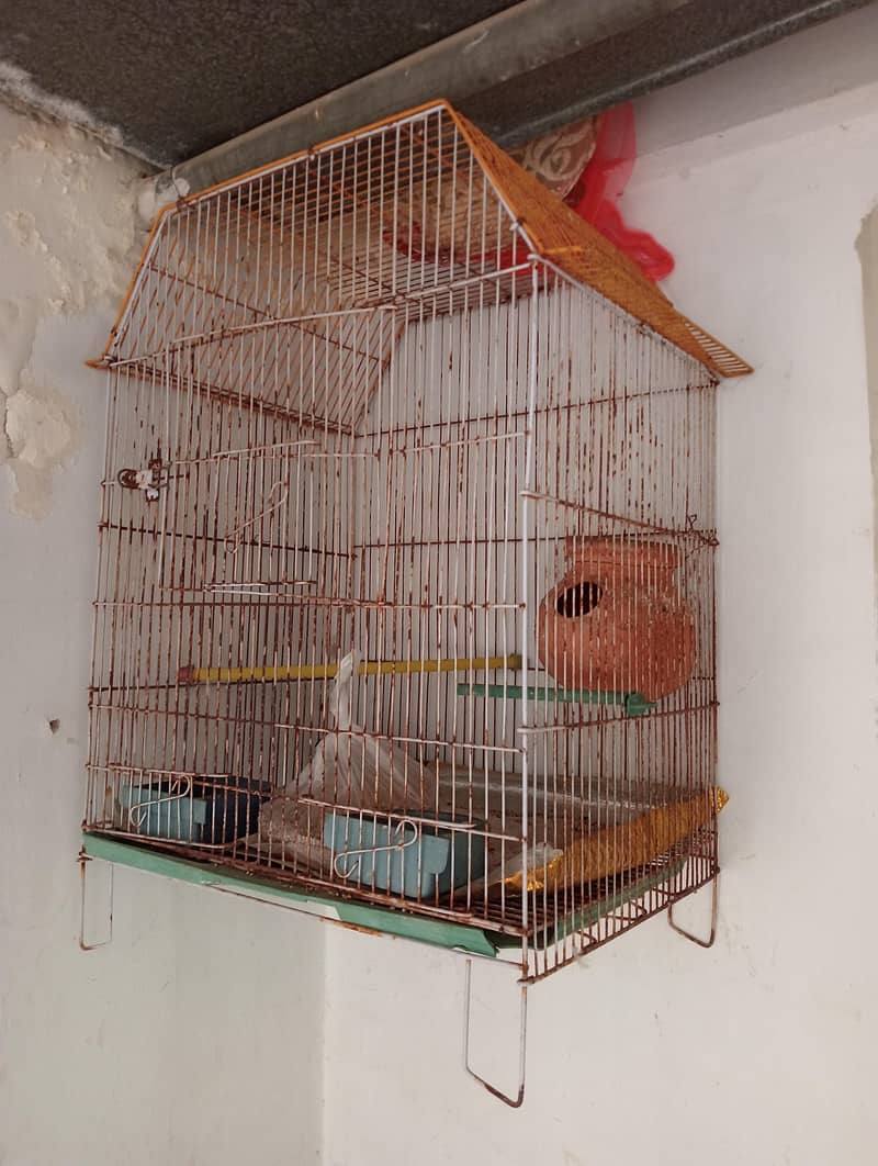 use cage 1