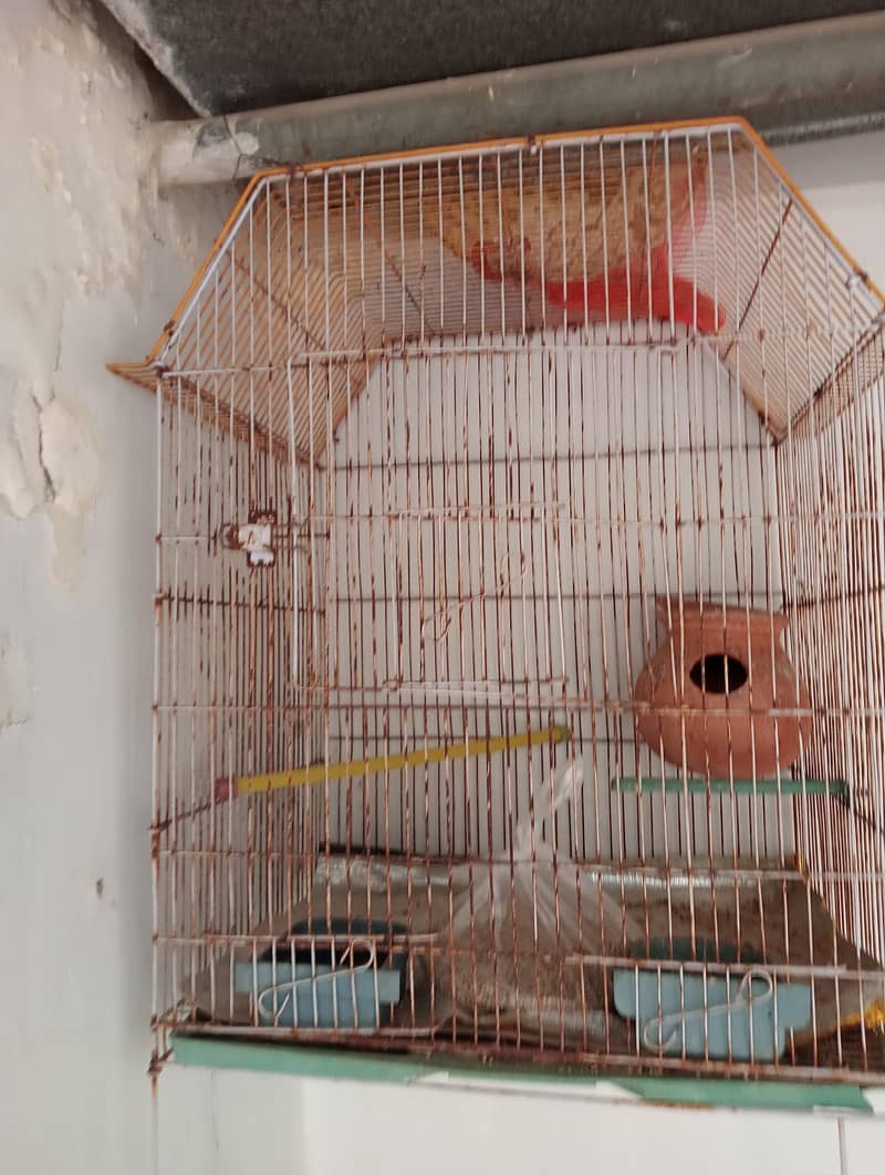 use cage 2