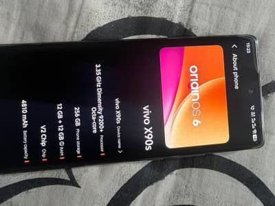 Vivo X90s