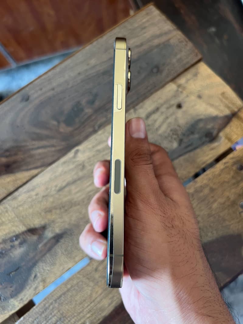 Iphone 13 pro max 3