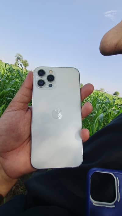 Apple iPhone 12 Pro Max
