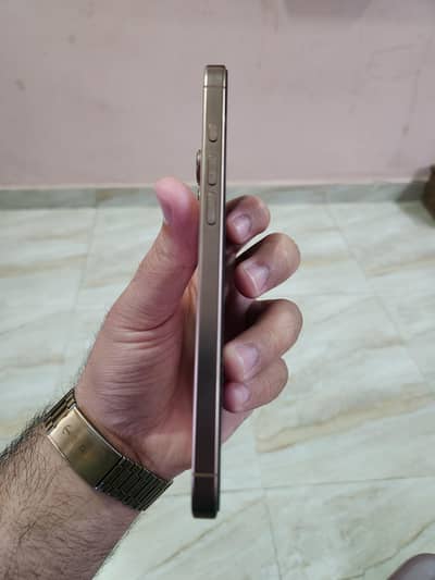 Iphone 16 Pro Max (Personal Used)
