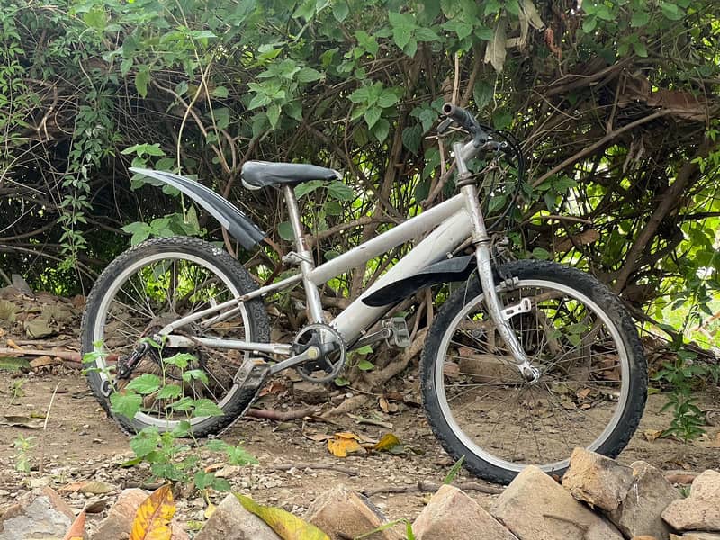 Bicycle 0