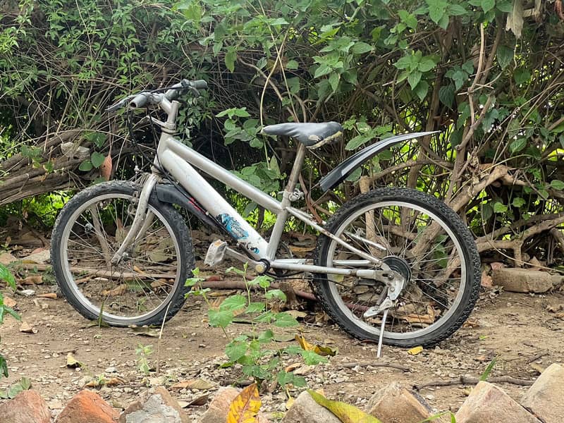 Bicycle 1