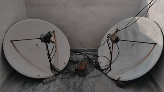 Dish antenna with Receivers
