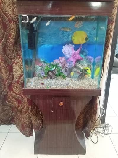 Huge+Elegant Fish Tank for Sale