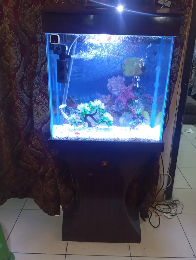 Huge+Elegant Fish Tank for Sale — photo 2