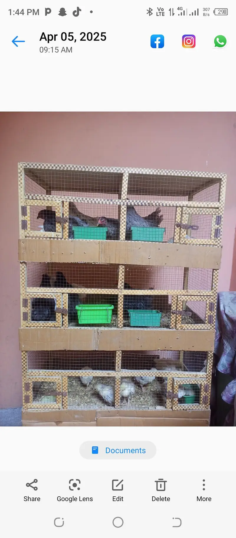 5 portion cage for hens — photo 4