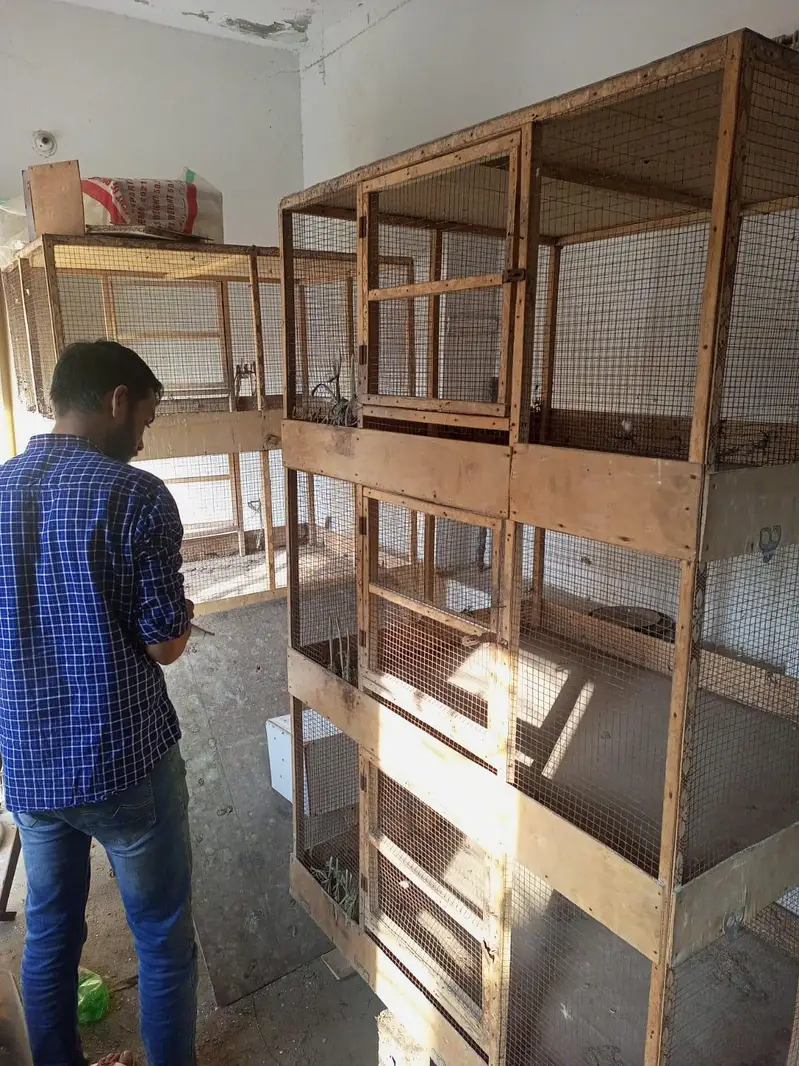 5 portion cage for hens — photo 7