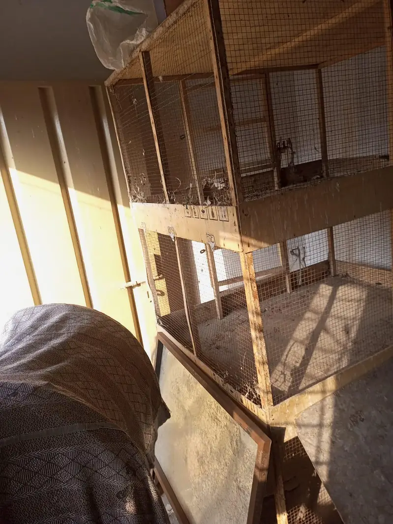 5 portion cage for hens — photo 8