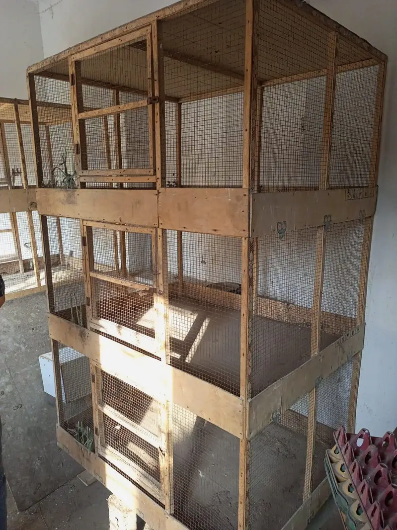 5 portion cage for hens — photo 9