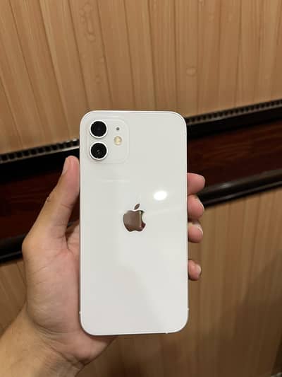 iphone 12 128 gb pta
