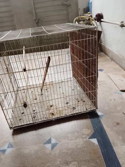 parrots cage 2x2 strong wire location gujrat 03068626059