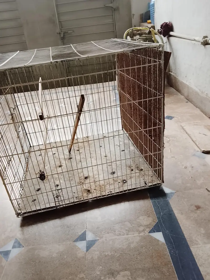 parrots cage 2x2 strong wire location gujrat 03068626059